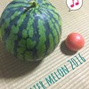 もうこの季節♡