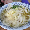さか枝　かけうどん・冷・小
