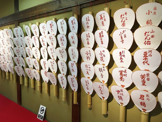 祇園甲部　団扇 polyphenol vinest | 団扇と 祇園甲部、舞妓真矢さん 2023撮影