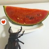 甘かった〜✩︎‧₊