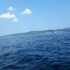 海状