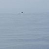 潜水艦