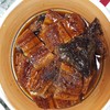 中国産鰻