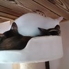 みっしり・・・