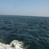 海流を通過中、波はやや大きくなってきます