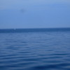 航海中盤、海の色が変わってきました