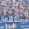 投球練習を終え早大応援団に送られる斎藤佑樹君