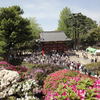 つつじえんから見た根津神社入り口