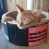 説明文が面白いw