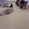 店内の様子☆