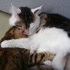 ぎゅ～っ♪