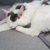 お手て伸び～ん