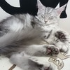 気持ち良さそうな寝顔♪