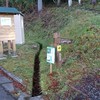 氷ノ越コースの登山口発見☆