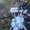 とうろう岩？