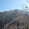 頂上を仰ぎ見て・・・