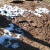 初雪の残雪が！