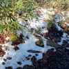 雪解けで足元ぐちゃぐちゃ・・・