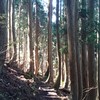 あともう少し・・・