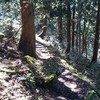 木漏れ日の中の下山☆