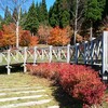キャンプ場周辺は紅葉が楽しめました♪