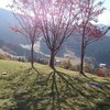 氷ノ山スキー場が見えます