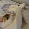 Zzzzz