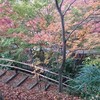 ピークは過ぎてるけれど・・・