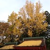 北野天満宮では銀杏も☆