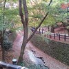 落ち葉の風情☆