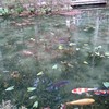 モネの池