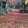 鶏足寺