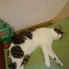 気持ち良さそうw