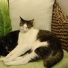 のび～ん、ぐぅZzz