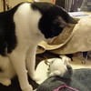 紐が気になる・・・