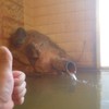 温まります！