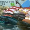 沖縄の魚