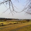 2017.3　海老名 相模三川公園へ