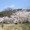 湖岸沿いは歩くこともできます