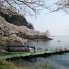 船も30～60分コースでやっています