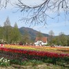 遠くから見渡すのも良いですな～