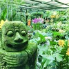 植物園～うん！オサーン20人・・