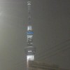 格子の隙間からですが