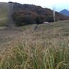 ただ、すすきが広がる山です