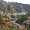 早朝がベストかつマスト！