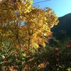 紅葉の素晴らしい寸又峡へ行きましょう