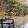 一生に一度はみたい吊橋がコレ