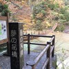 高所恐怖症の方はここで見るだけにしましょう(笑)