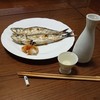鰯は安い年でした