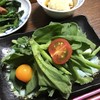 サラダで頂きました